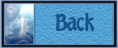Back Button