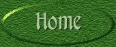 Home Button