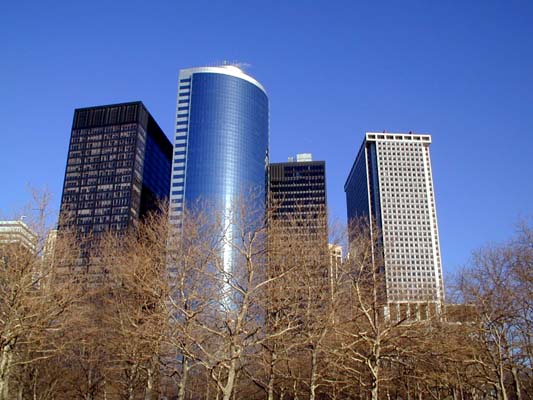 Battery Park Skyline