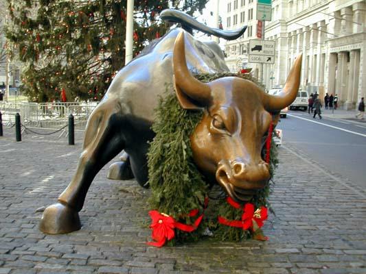 Bull