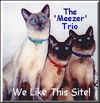 Cat Whiskas - The Meeker Trio