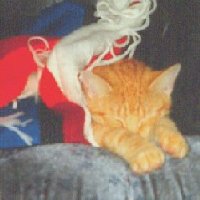 Shh..I'm sleeping