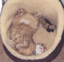 Sleeping like a baby