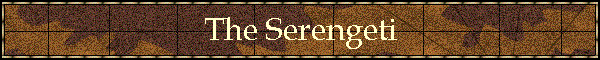 The Serengeti