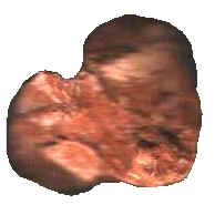 Alabaster