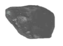 Cannel Coal