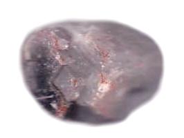 Muscovite