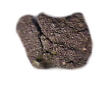 Volcanic Bomb