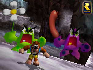 I doubt that a flower and a hot dog will hurt Banjo