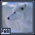Artic Wolf