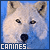 Canines