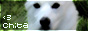 Chita - Fanlisting