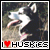 Huskie