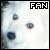 Samoyed