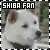 Shiba Kens