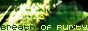 Environmental - Network