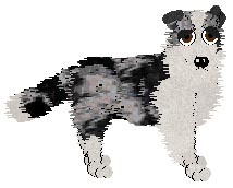 PKC Ch. Miranda's Frolic And Play PKC/DKC OD PKC XPC