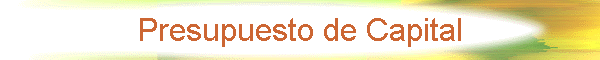 Presupuesto de Capital