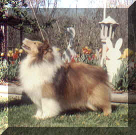 April132000.jpg (73503 bytes)