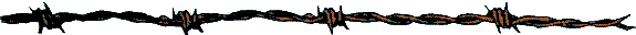 bwire.gif (2653 bytes)