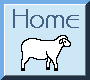 sheeph4.gif (681 bytes)