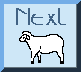 sheepn4.gif (685 bytes)