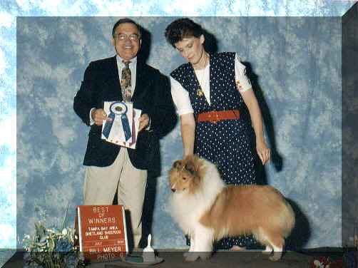 showdog.jpg (162629 bytes)