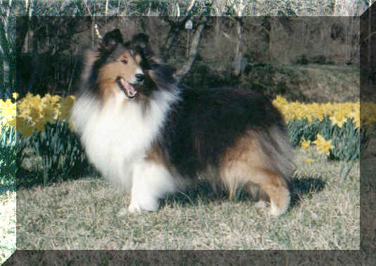 tucker.jpg (176693 bytes)