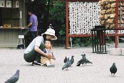 Little Man At Shrine In Kamakura