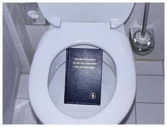Bible in bog - Germany