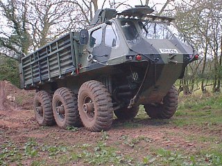 picture of a stolly
