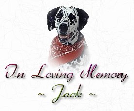 My Dog Jack