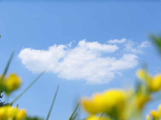 Clouds