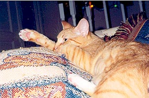 Gabrielle resting with style