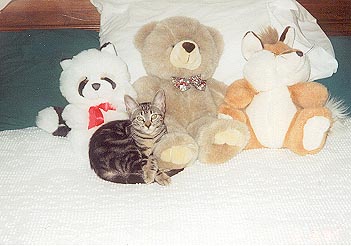 My biological mama, K.C. and her stuffed friends