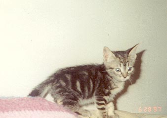 K.C. as a wee one