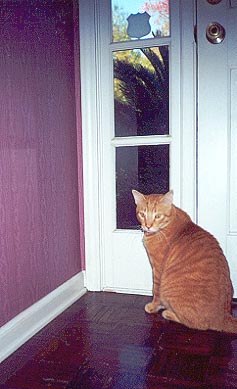 Kippy turning around