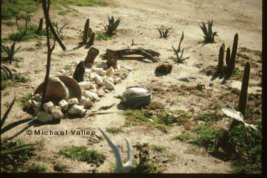 
 Decayed Dead Man
 Facing in S'ly. direction 
