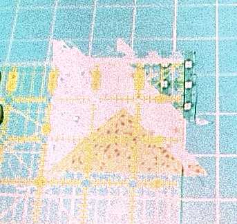 step10.jpg (20119 bytes)