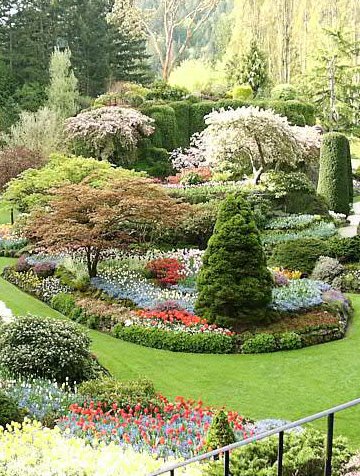 garden
