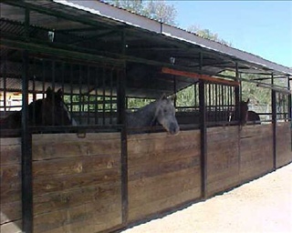 stable w Gary's horses