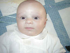 P6240015.JPG (218800 bytes)