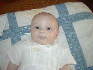 P6240017.JPG (205199 bytes)