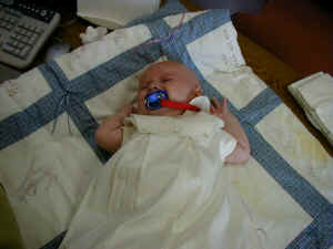 P6240024.JPG (192091 bytes)