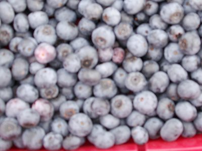 East Texas HAND PICKED Blueberries -  We actually picked some of these very blueberries!!!!!