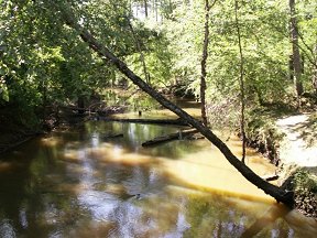 Turkey Creek in the National Forest Preserve -  right near our place
