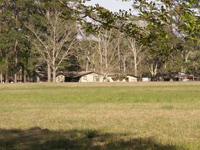 Our lovely backyard and pasture