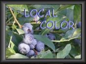 Some interesting local color