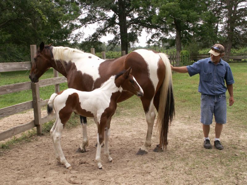 Baby Pretty and her Momma May 25, 2007