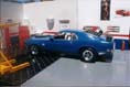 Mustang - by Mark Raynor